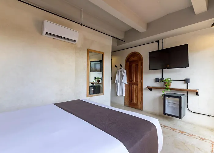 Hotel Caribbean Paradise & - 5th Avenue Playa del Carmen