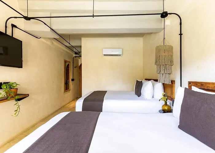Hotel Caribbean Paradise & - 5th Avenue Playa del Carmen