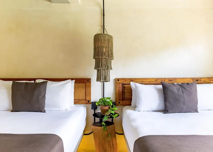 Caribbean Paradise & - 5th Avenue Playa del Carmen