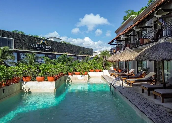 Caribbean Paradise & - 5th Avenue