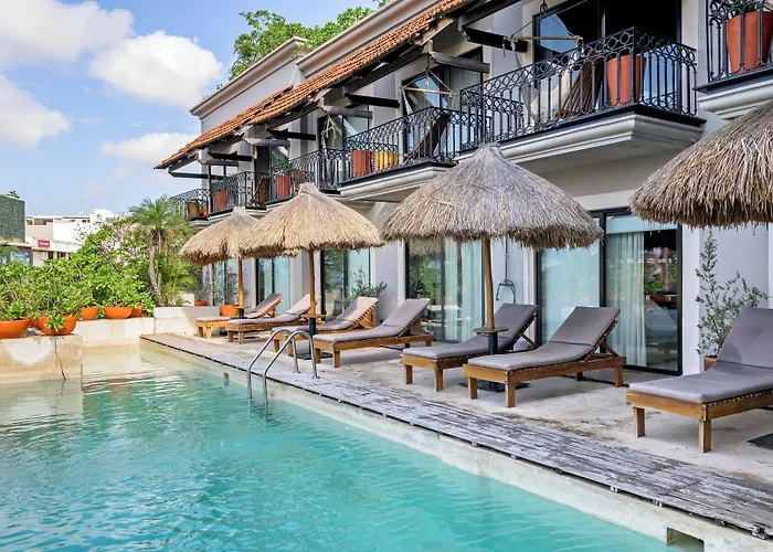 Caribbean Paradise & - 5th Avenue Playa del Carmen
