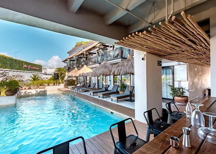 Caribbean Paradise & - 5th Avenue Playa del Carmen